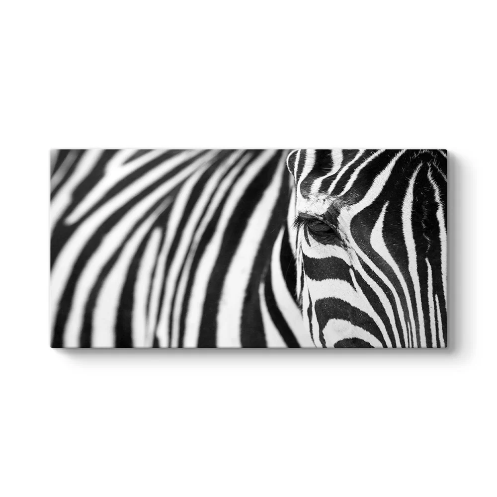 Zebra Tablosu - Model 5